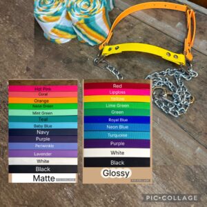 Custom Nylon Halter with Galvanized Steel Chain