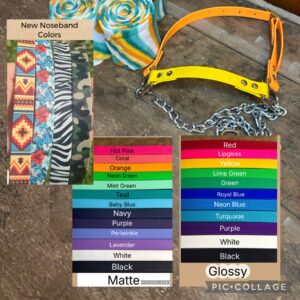 Custom Nylon Halter with Galvanized Steel Chain