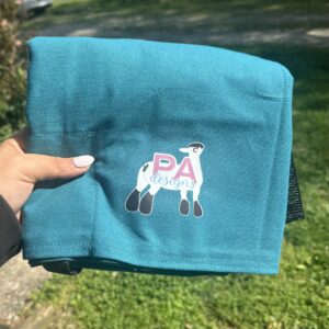 Teal Canvas Blanket